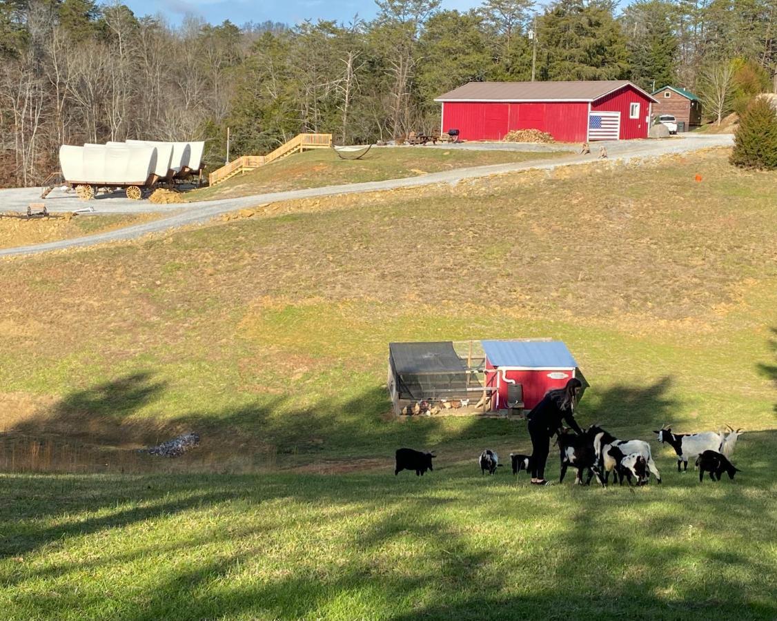 Smoky Hollow Outdoor Resort Covered Wagon Sevierville Buitenkant foto